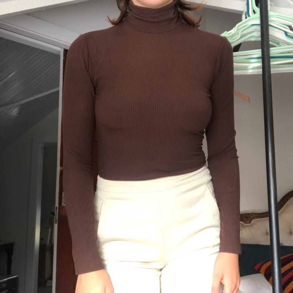 Reformation rib turtleneck chocolate brown